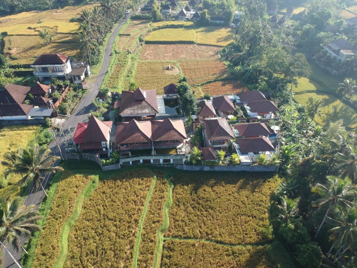 Danakha Villa Ubud Tegallalang  Esterno foto